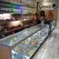 Glass n Go Smoke Shop