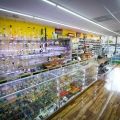 Vape & Smoke Shop - Bird Rd.