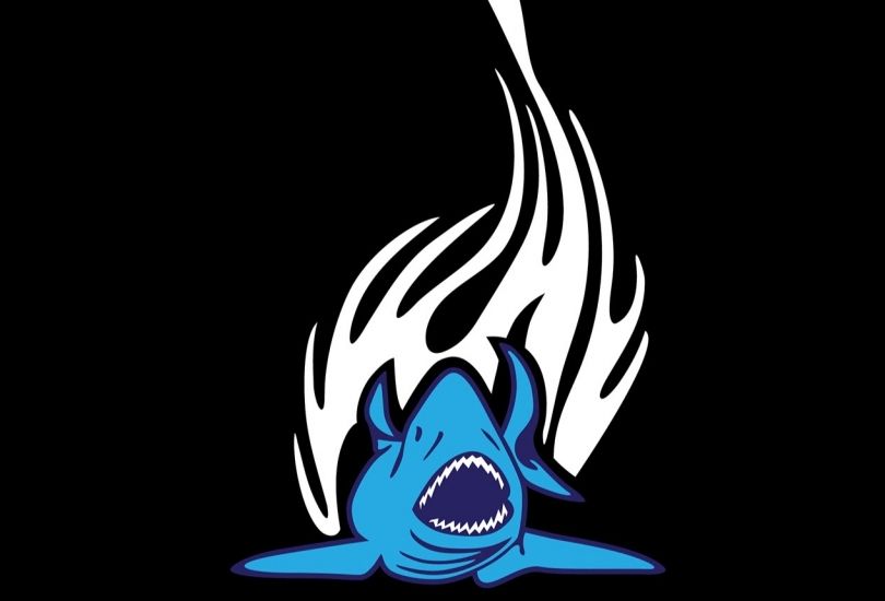 Vapor Shark