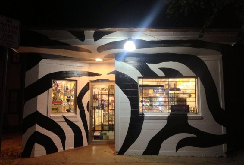 The Zebra's Head