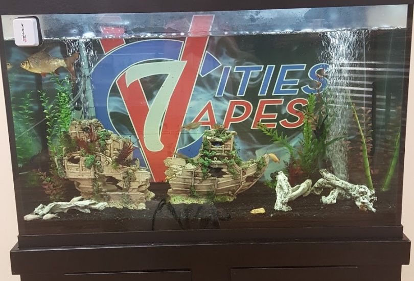 7 Cities Vapes 2