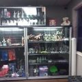 Sammi's Smoke Shop