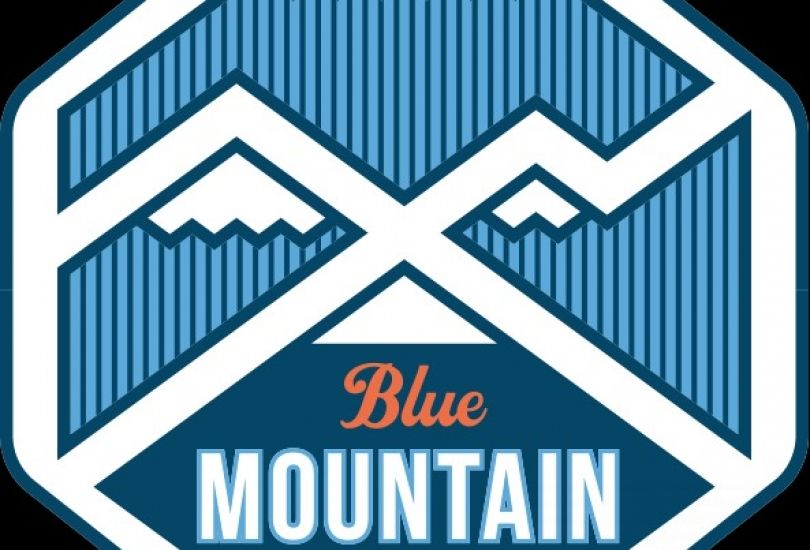 Blue Mountain Vapor and eCigs (Vape Shop)