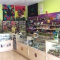 Elysium Smoke Shop