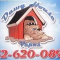 Dawg House Vapes / T-N-R Services