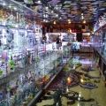 Smoker's Kingdom Smoke Shop