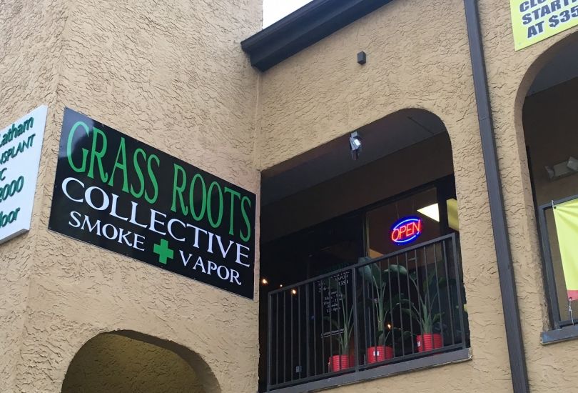 Grassroots Collective