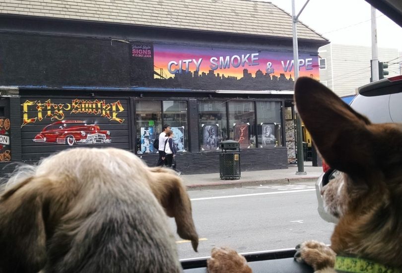 City Smoke Shop