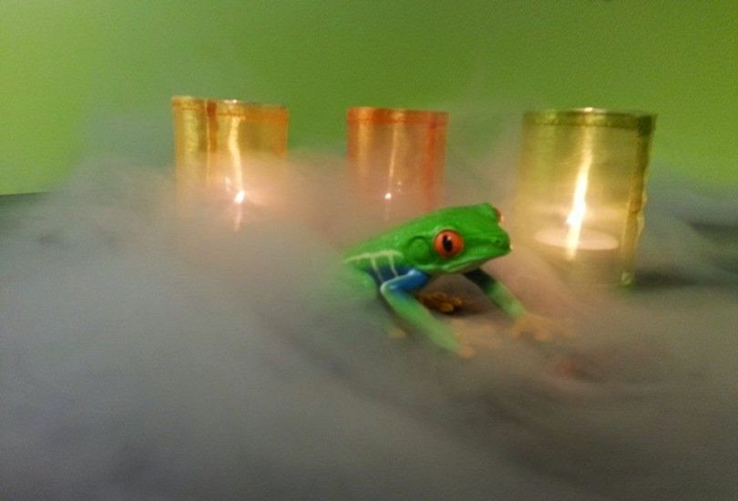 Vape Frog