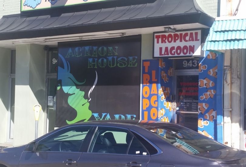 Action House Vape