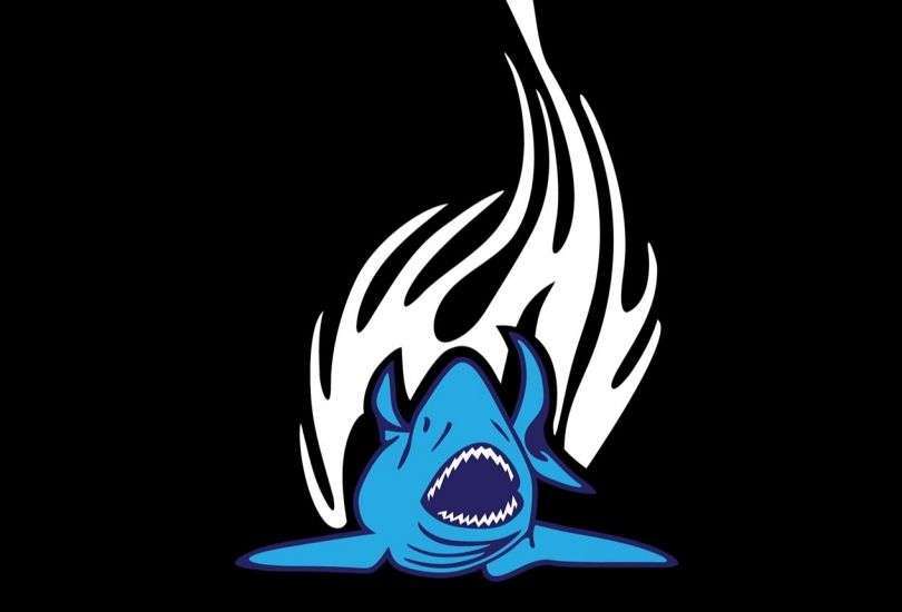 Vapor Shark