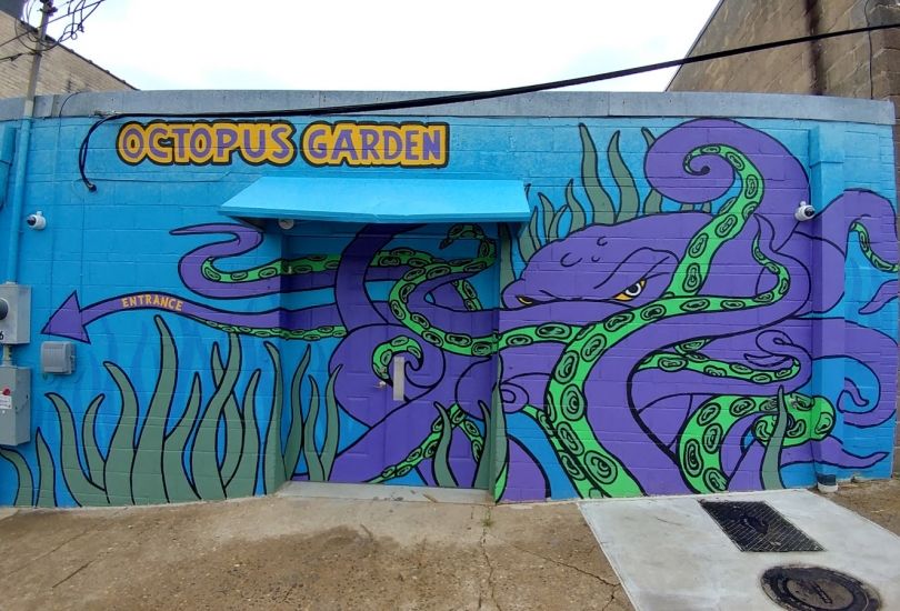 Octopus Gardens