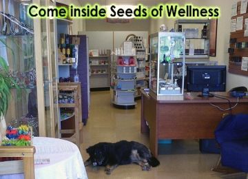 Seeds of Wellness llc