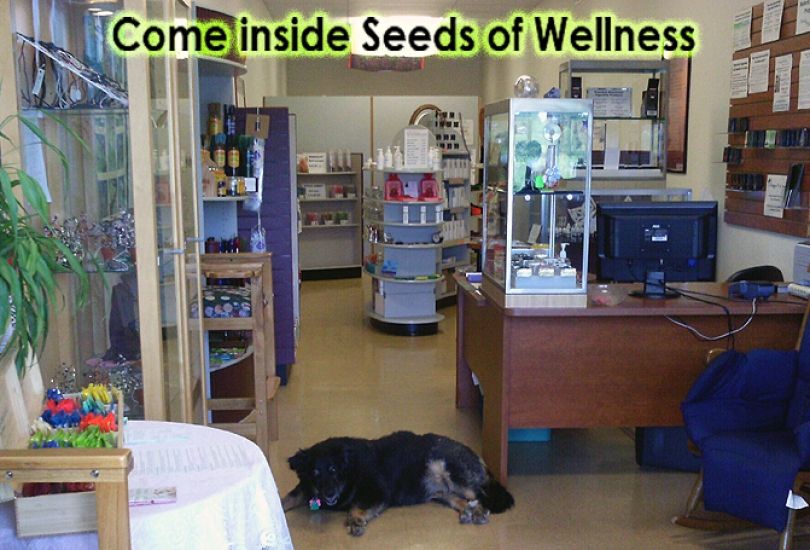 Seeds of Wellness llc
